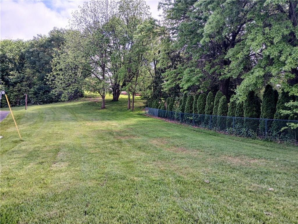 a view of a yard with a trees