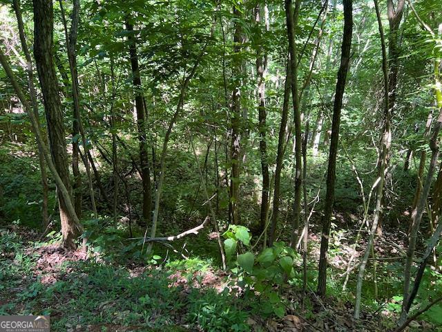 a view of a green field with lots of bushes