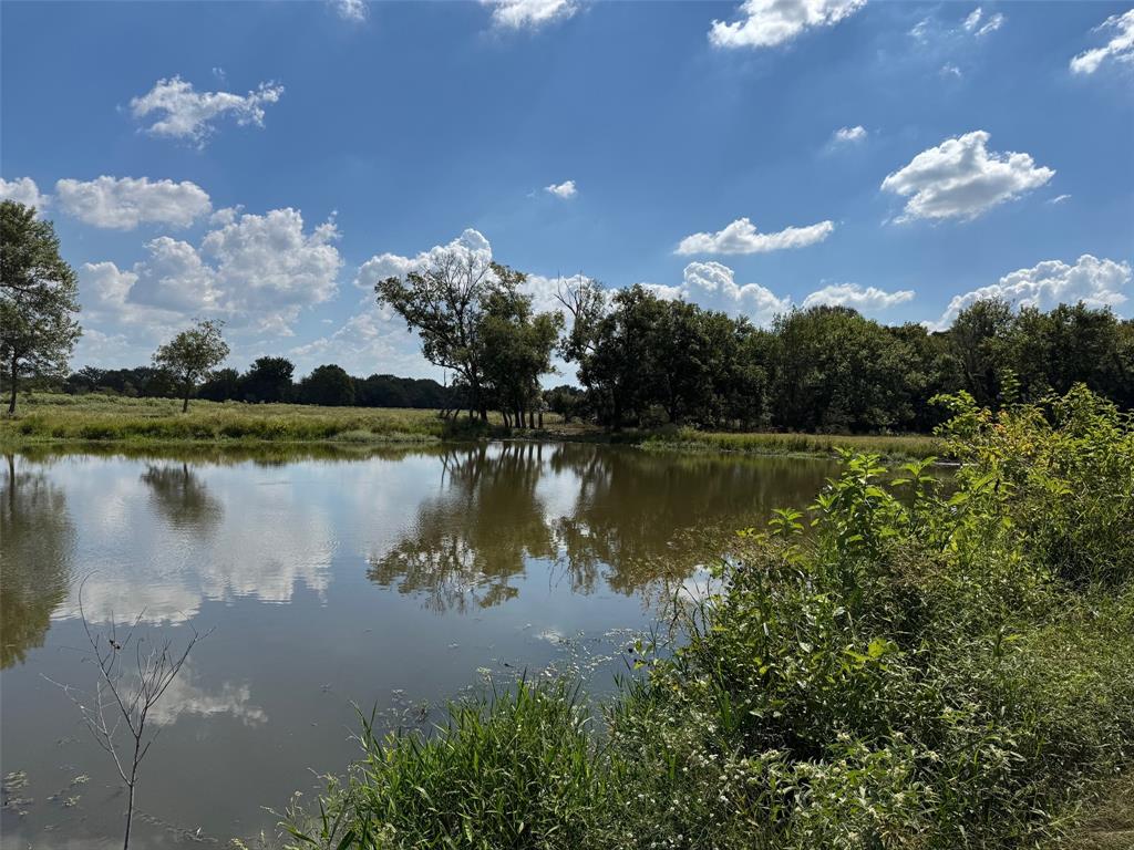 a view of a lake in middle of forest