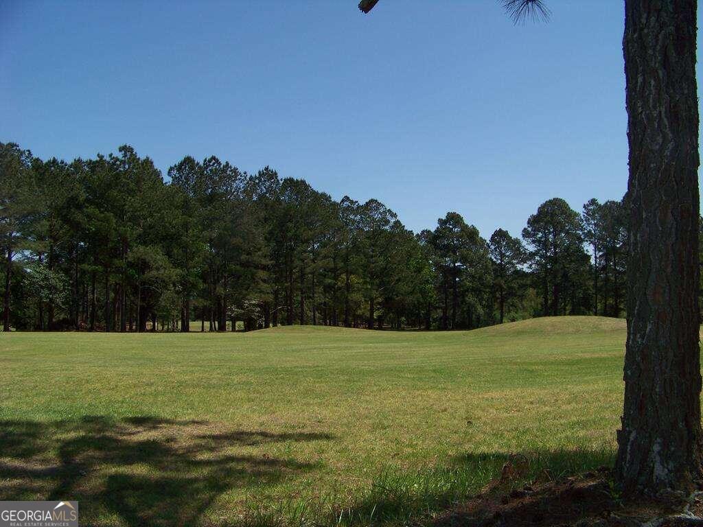 a view of a with green field