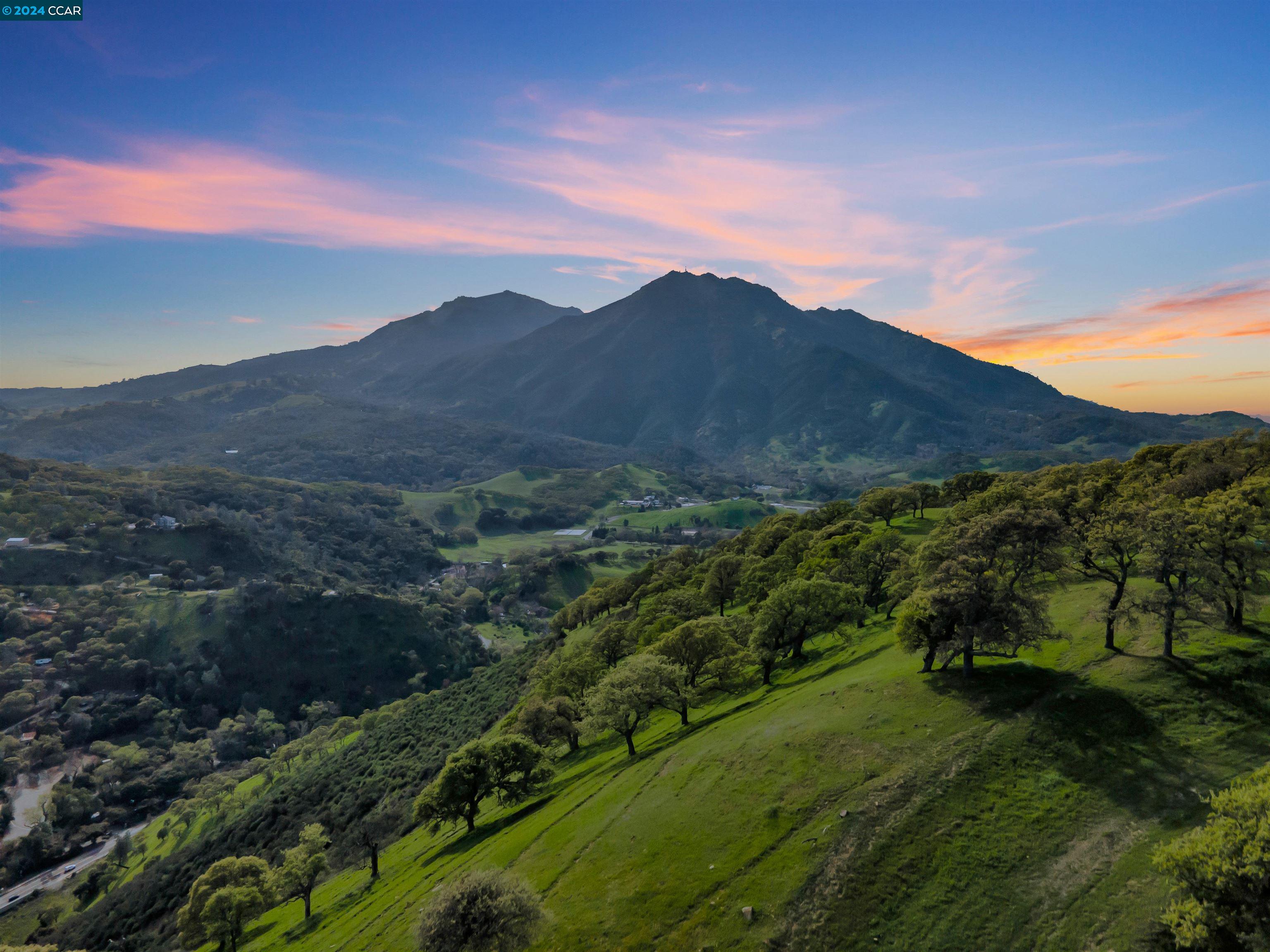 a view of a lush green hillside and a mountain