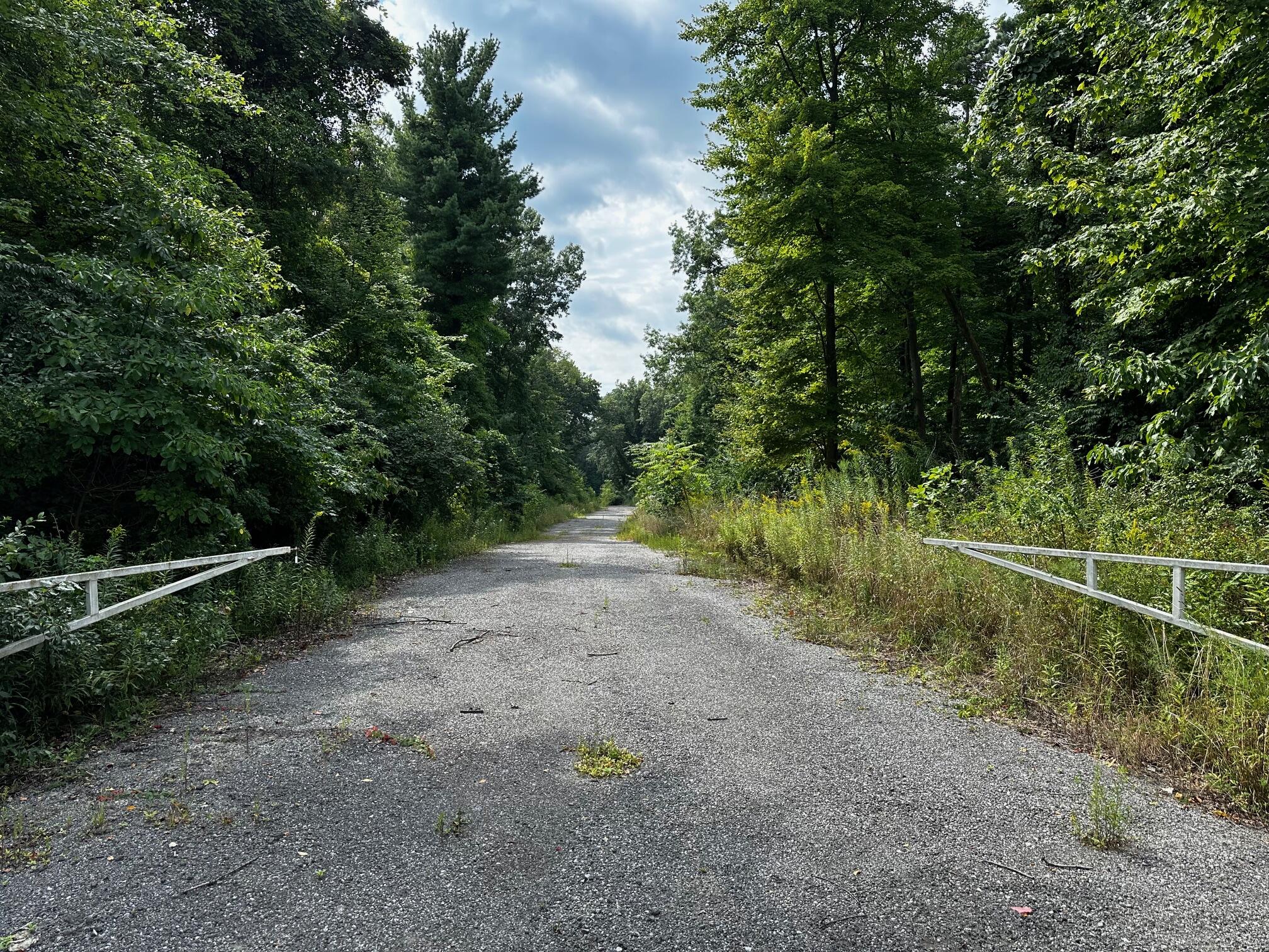 a view of a field with trees in the background