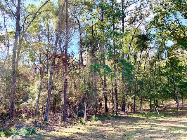 a view of a yard with large trees