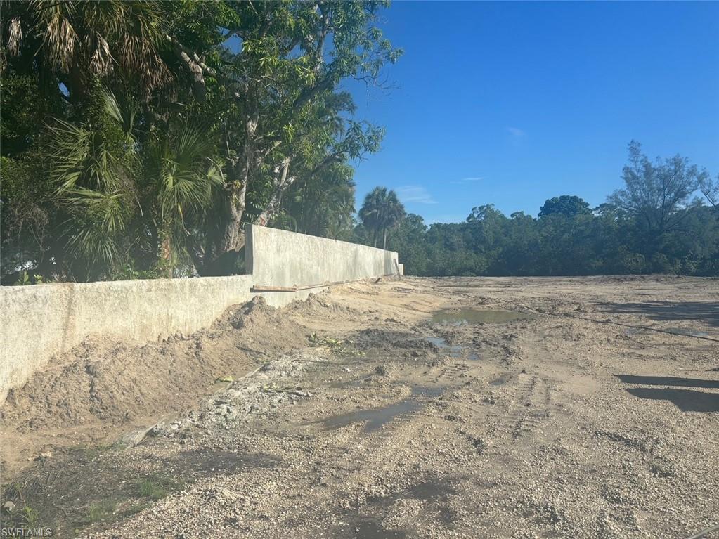 a view of a yard with trees in the background