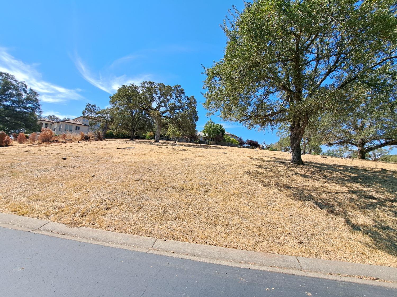 a view of empty space with large trees