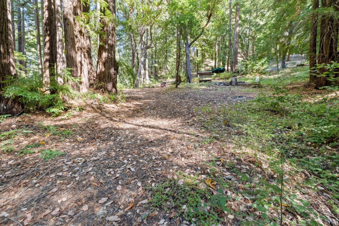 a view of a yard with a tree