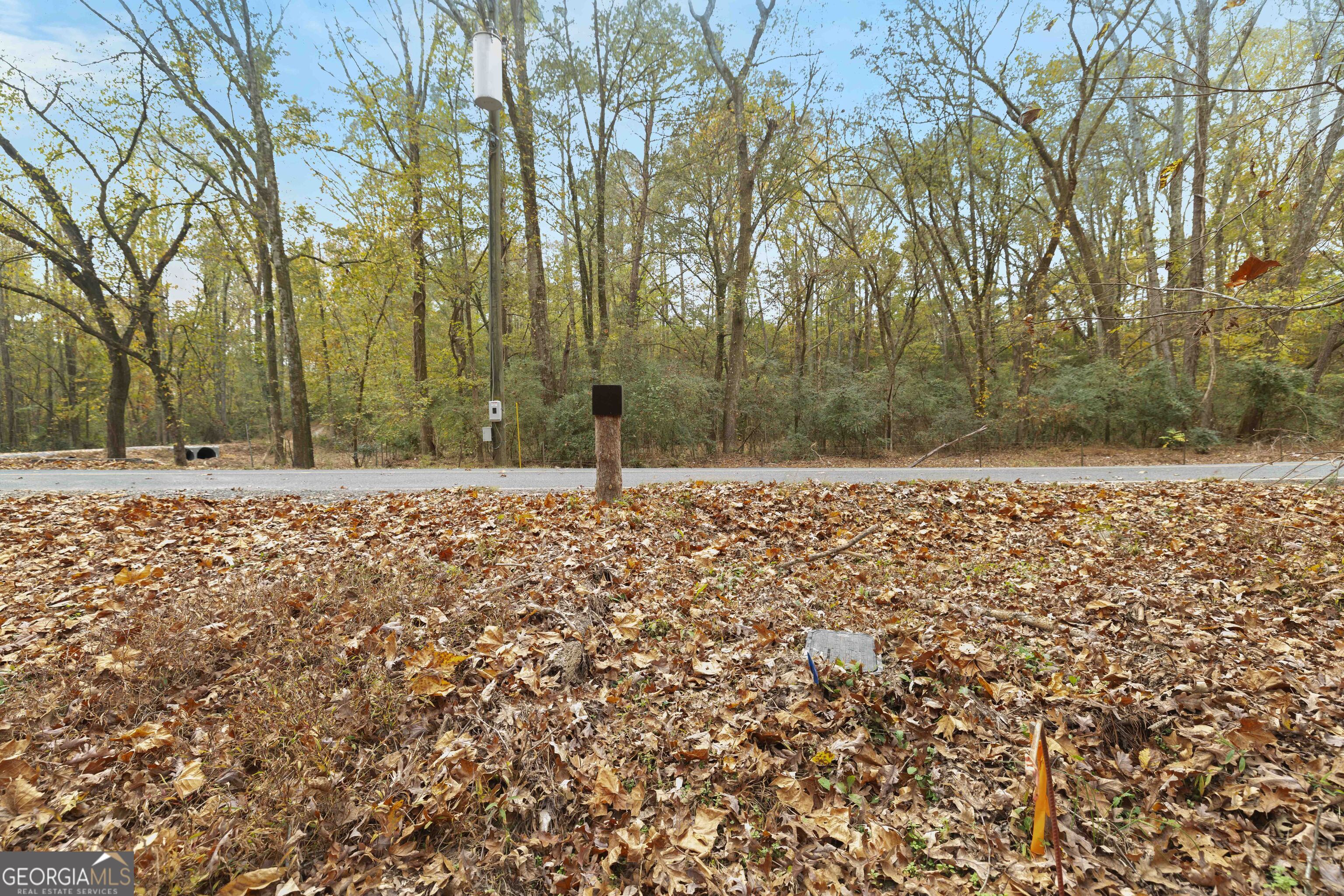 a view of a yard with trees