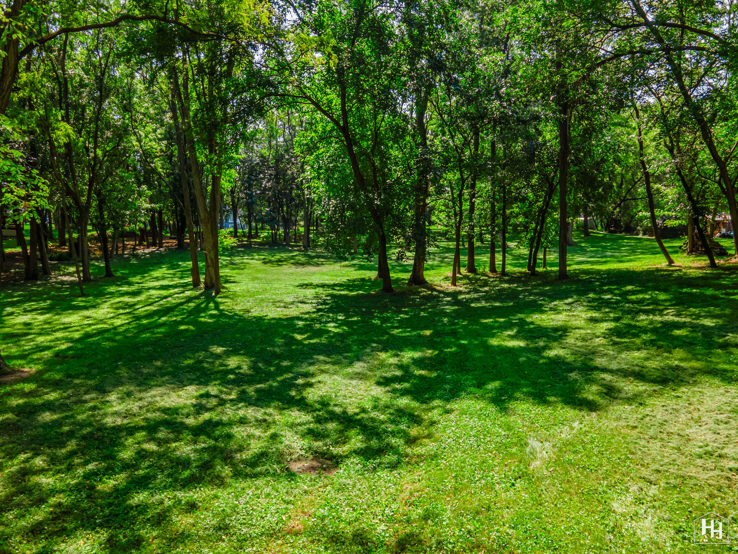 a big yard with lots of green space and trees