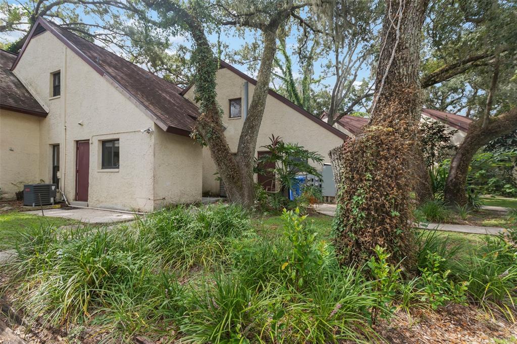 a backyard of a house with plants and large tree