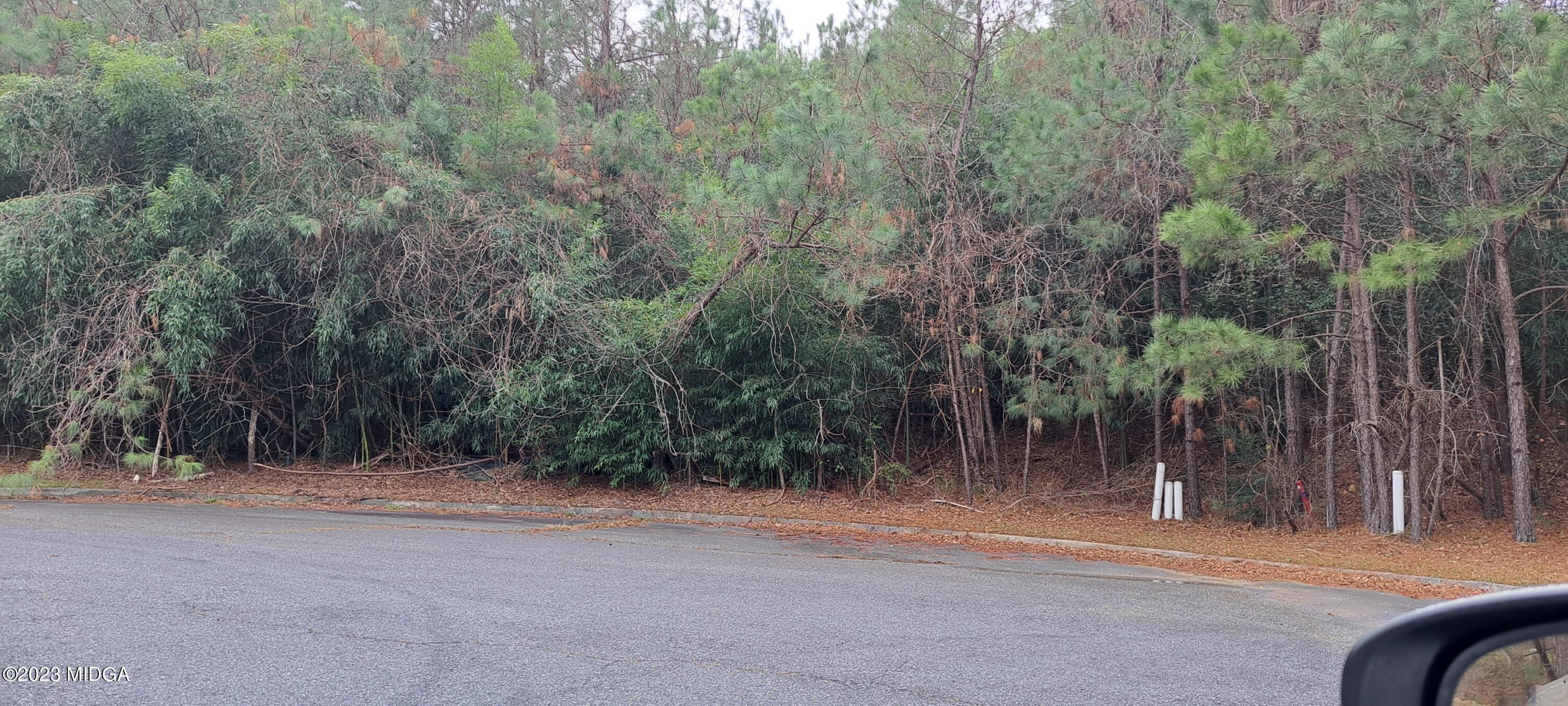 a backyard of a house with large trees