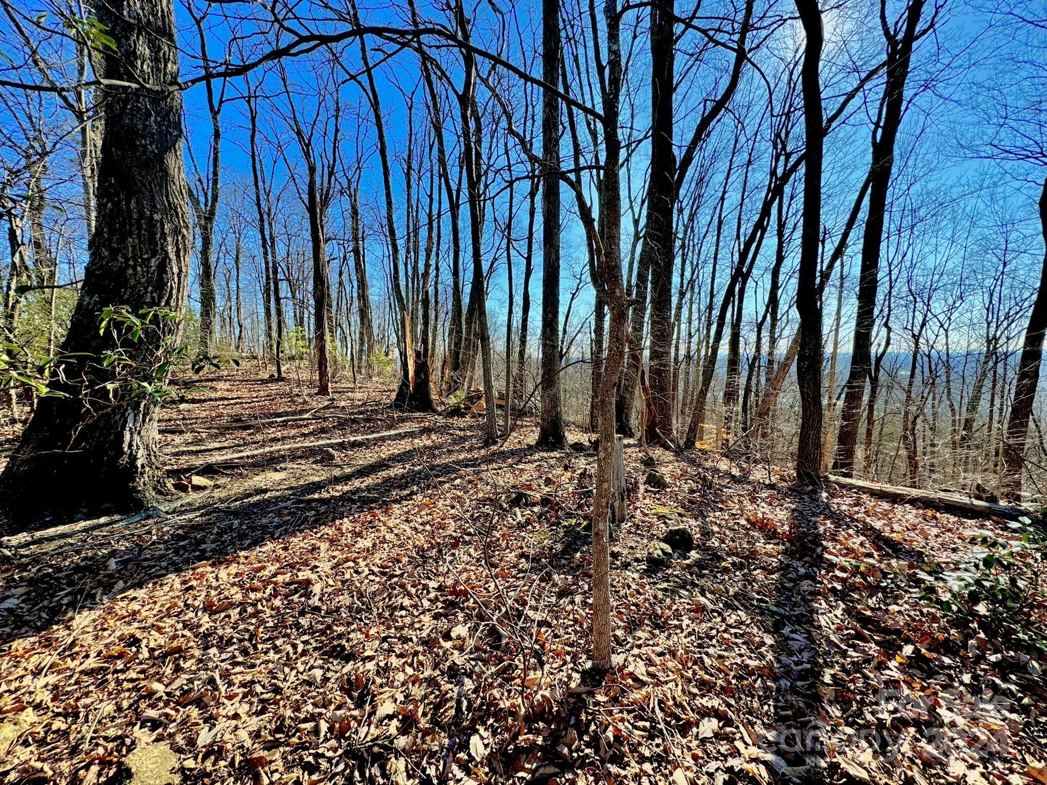 a view of a backyard with pathway