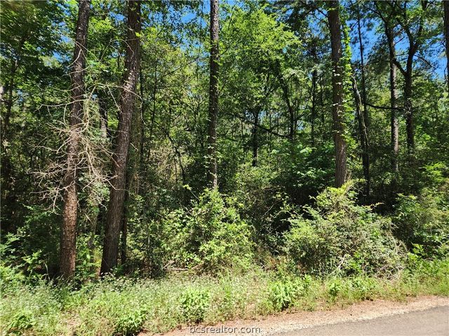 $48,000 | Lot 75 Pinebrook Drive | Pinebrook