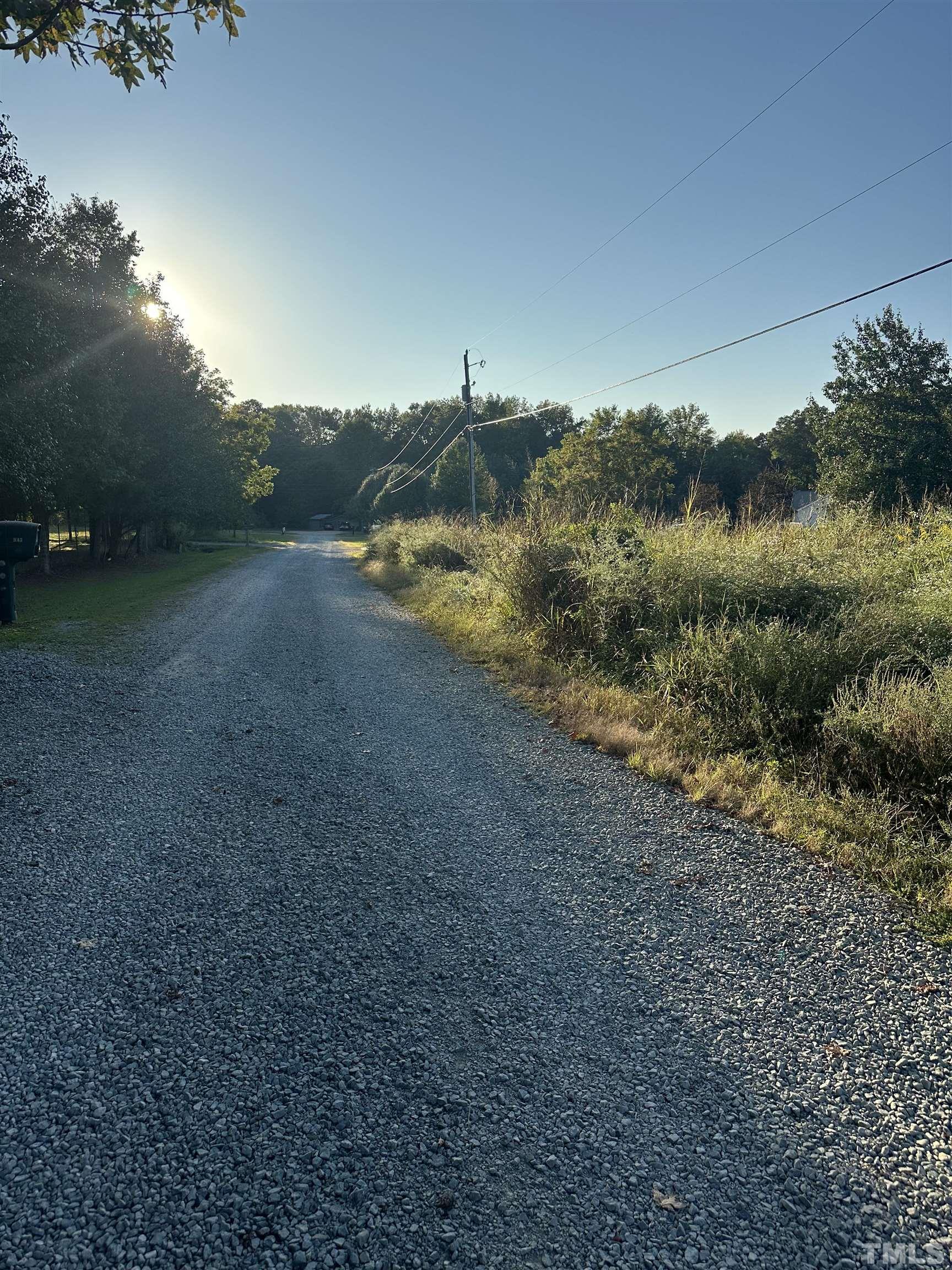 a view of a yard with a tree