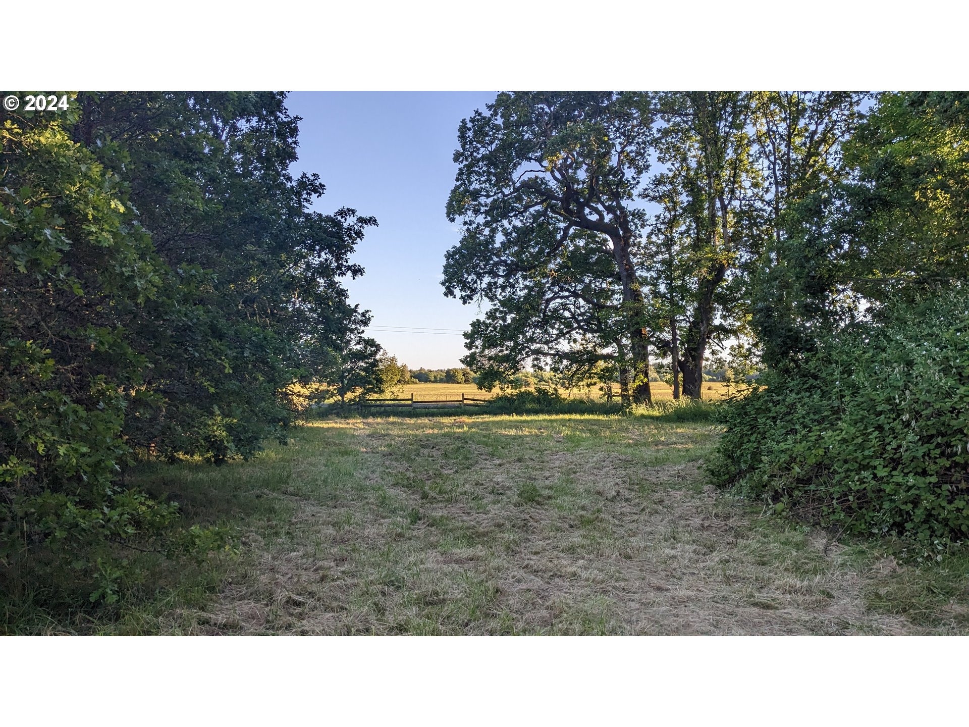 a open area with trees in front of it