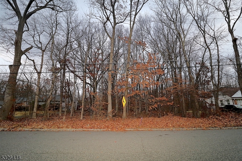 a view of road and trees