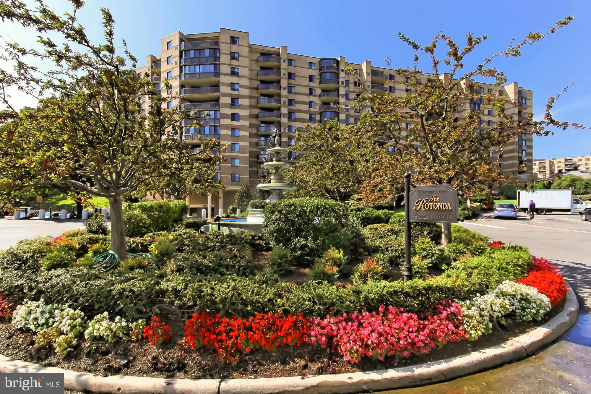 a view of a bunch of flowers and flowers