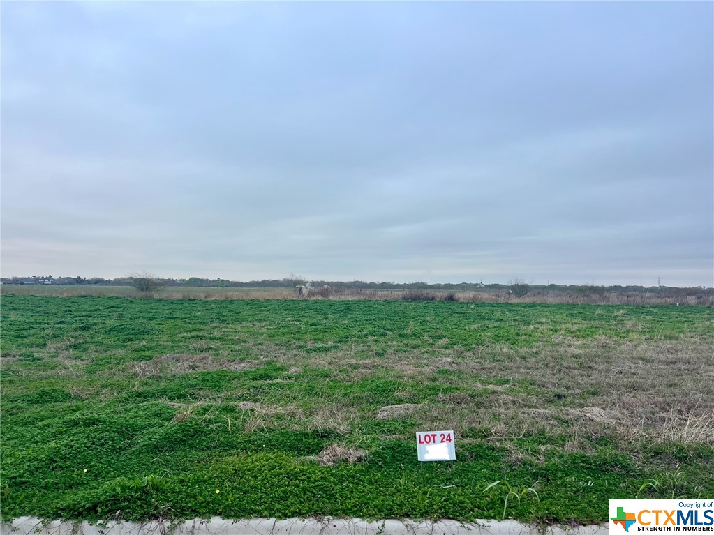 a view of a field and grass