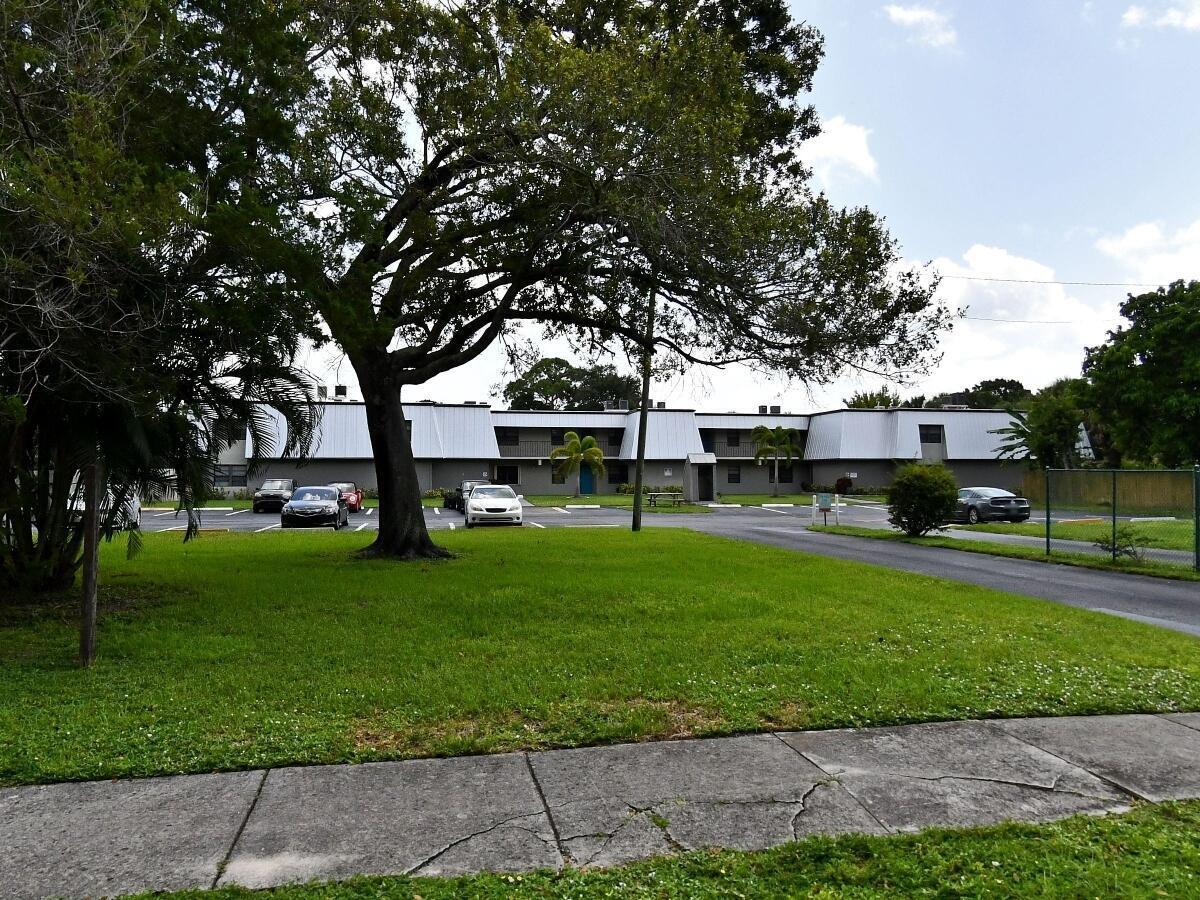 a view of a park with large trees