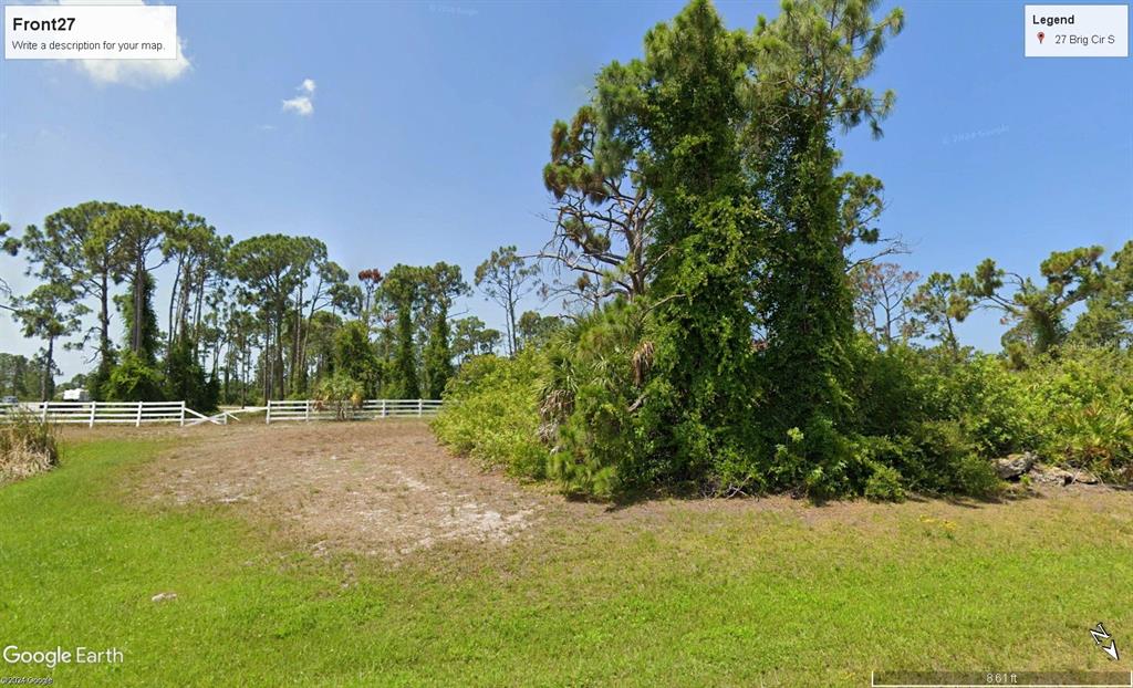 a view of a yard with a tree