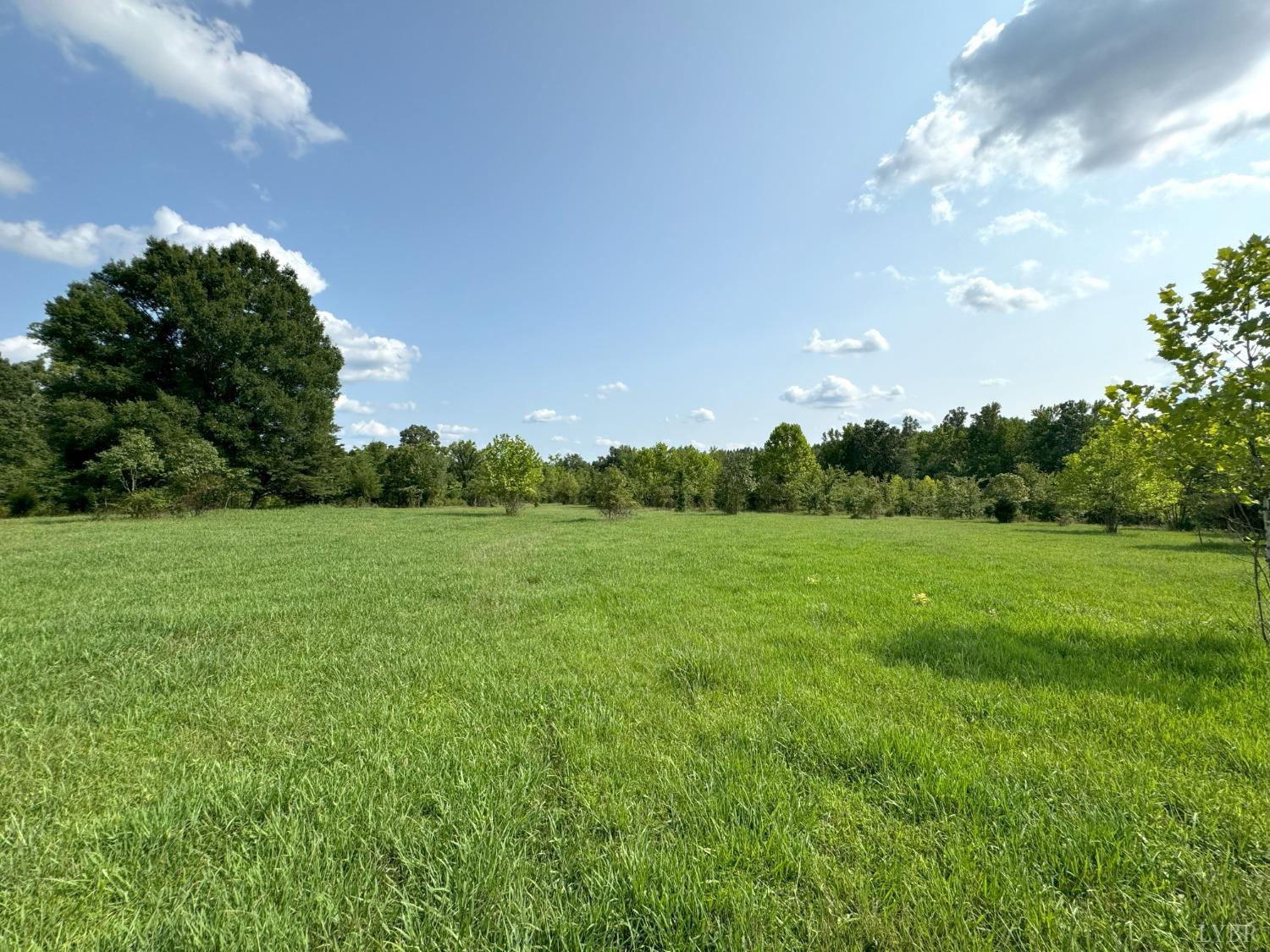 a view of a green field with trees in the background