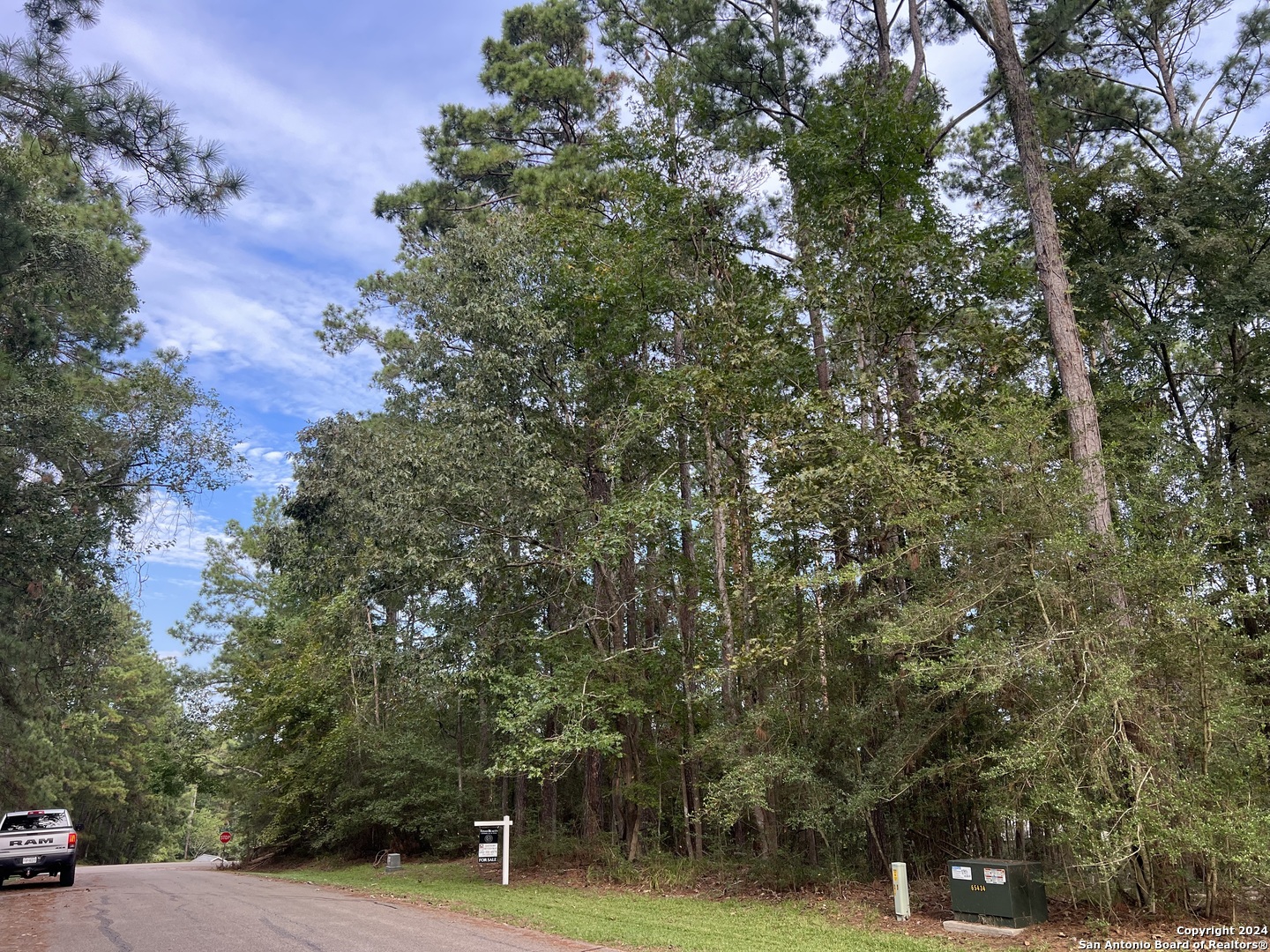 a view of road with yard and trees