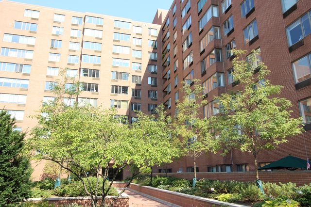 $1,900 | 801 South Plymouth Court, Unit 219 | Dearborn Park