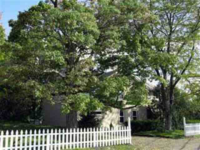 a house view with a garden