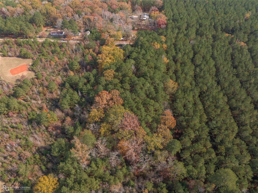 a view of a house with a lush green forest