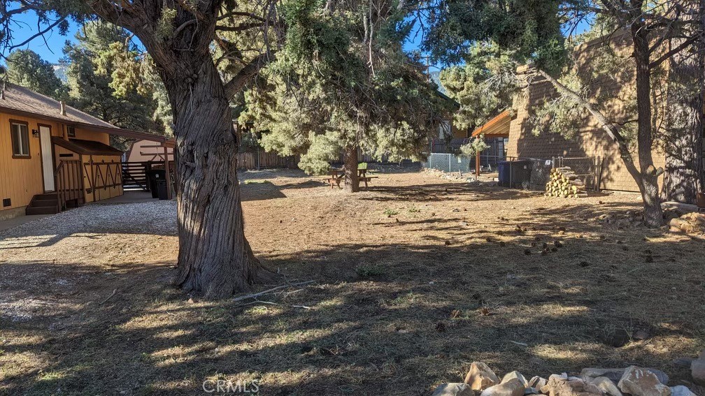 a view of a yard with a tree