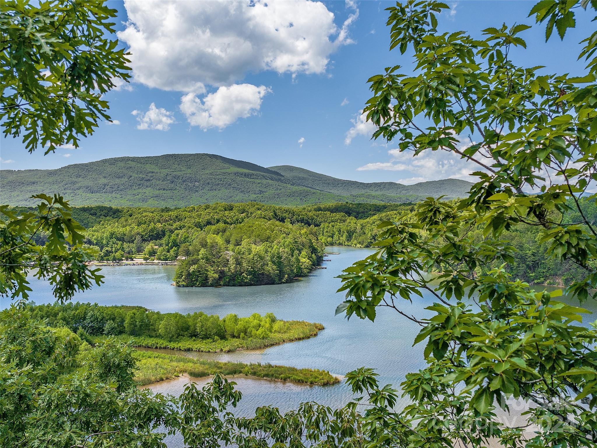 a view of a lake with a yard