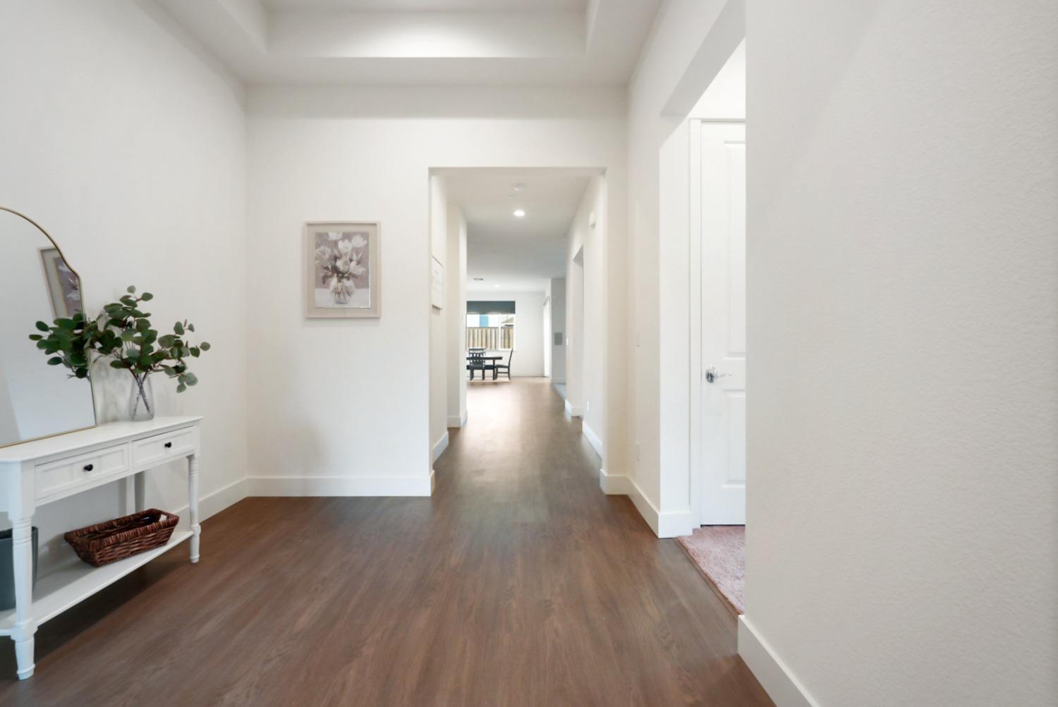 a view of a hallway with wooden floor and a potted plant