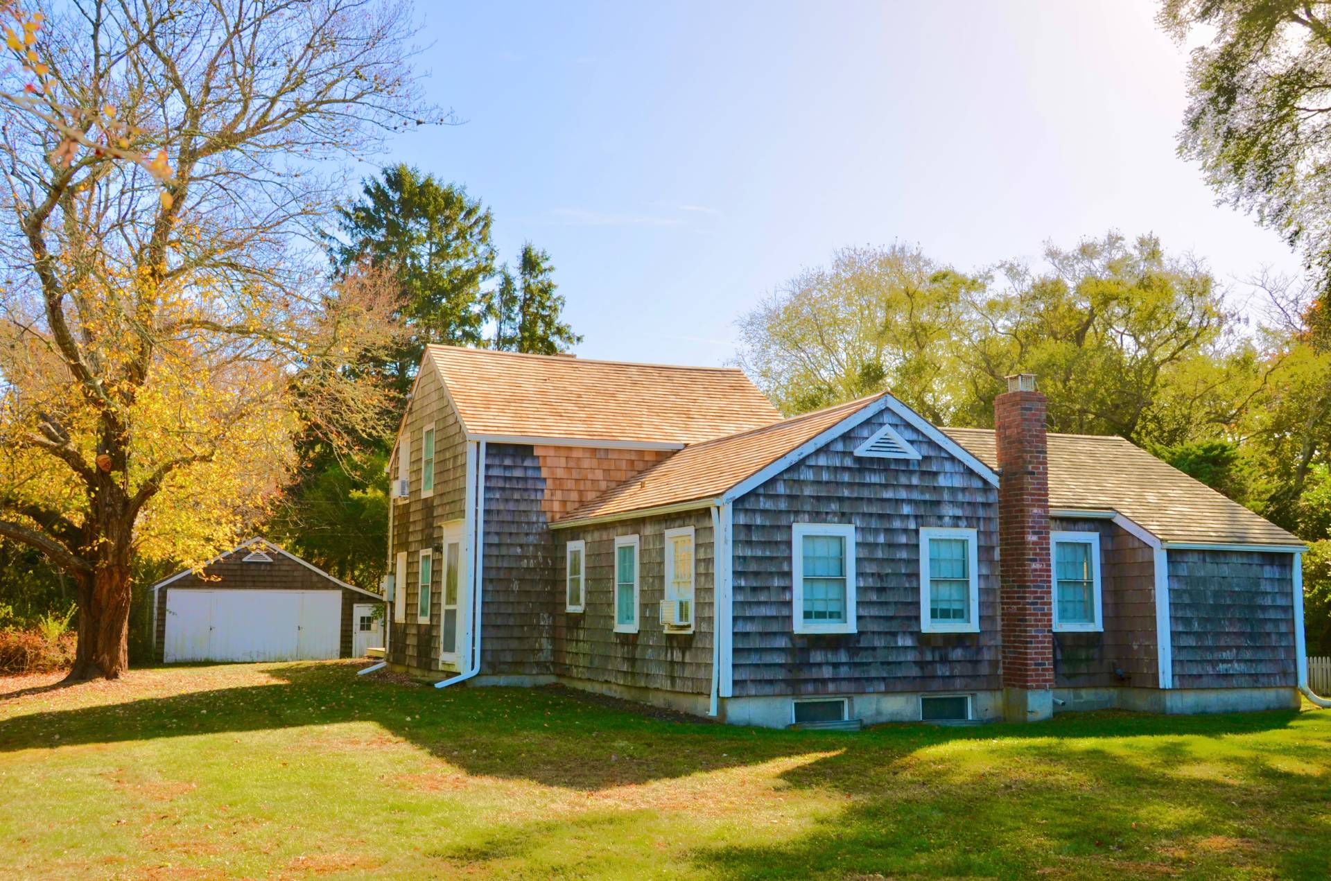 a view of a yard in front of a house with a large tree