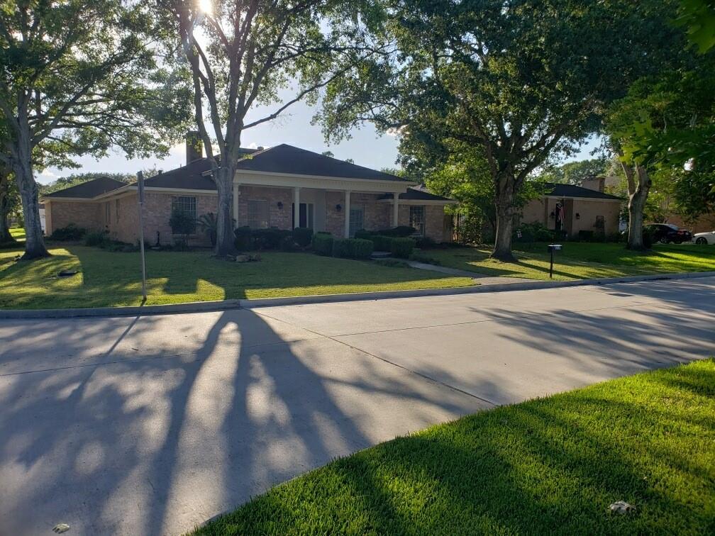 a view of a yard in front of a house