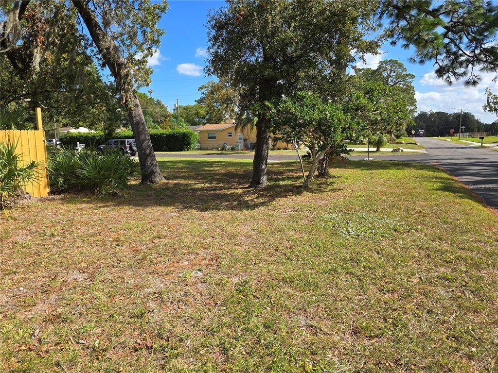 a view of a yard with a tree