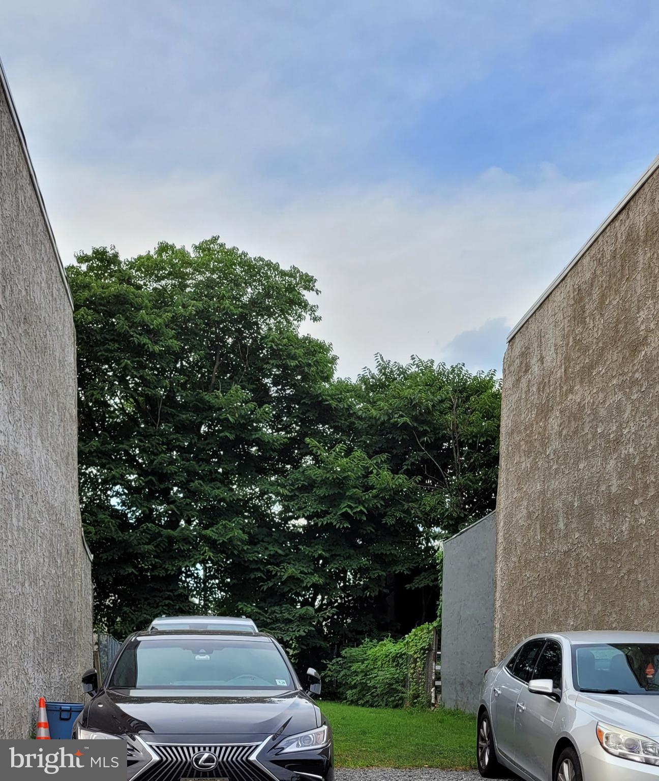 a view of a car parked in front of a yard with plants and large trees