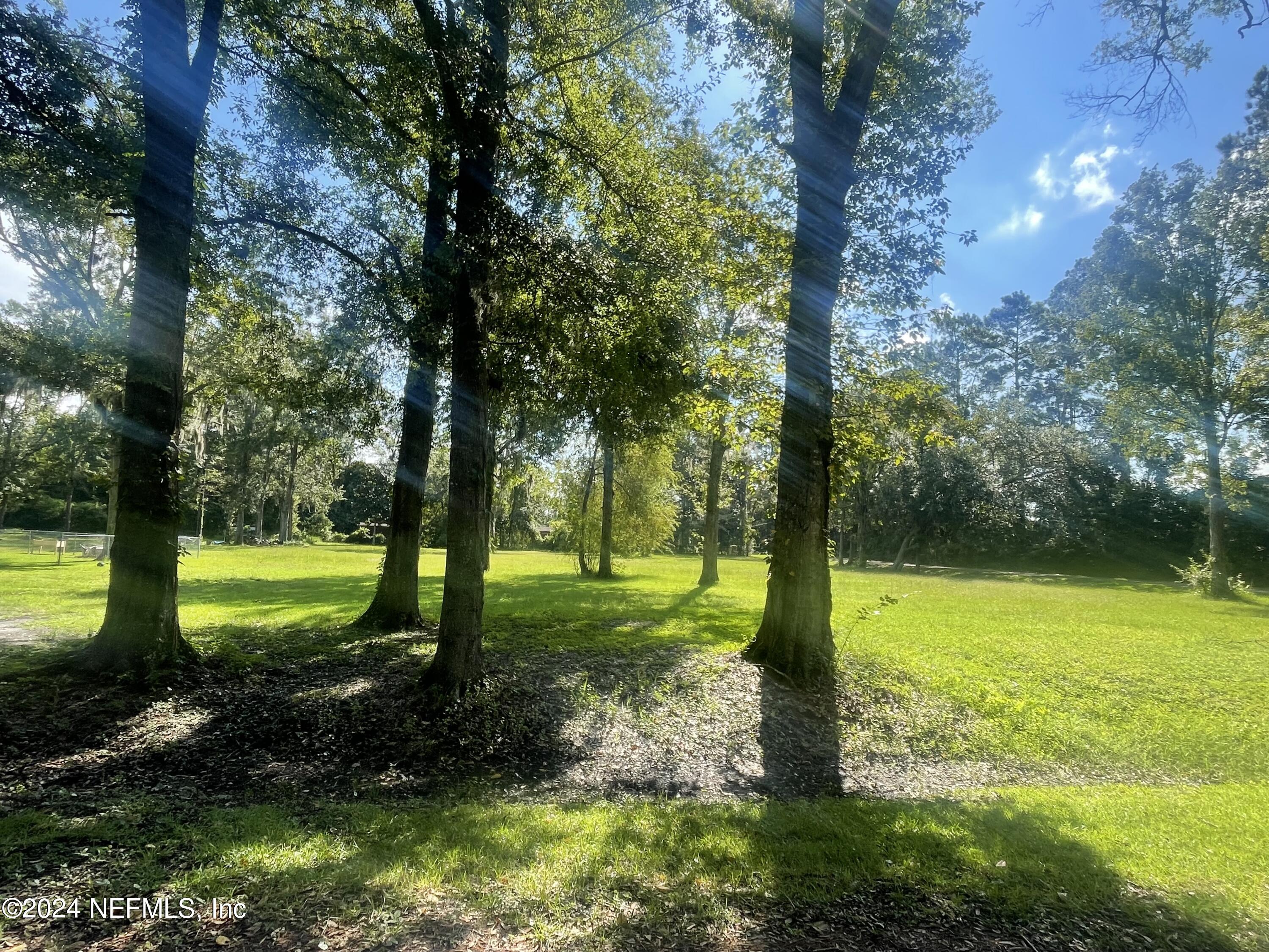 a view of a garden with large trees