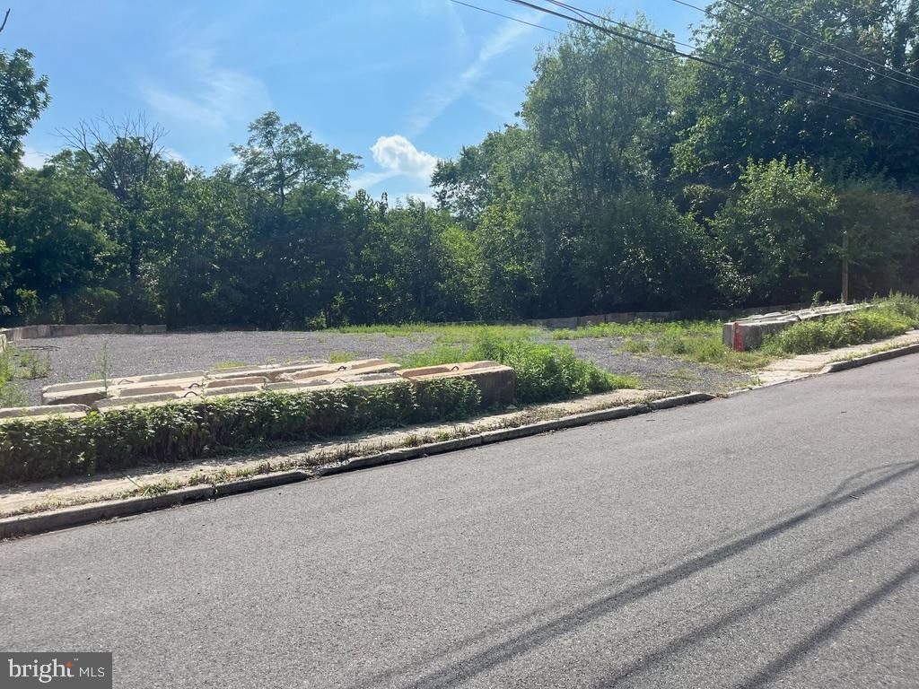 a view of a yard and car parked