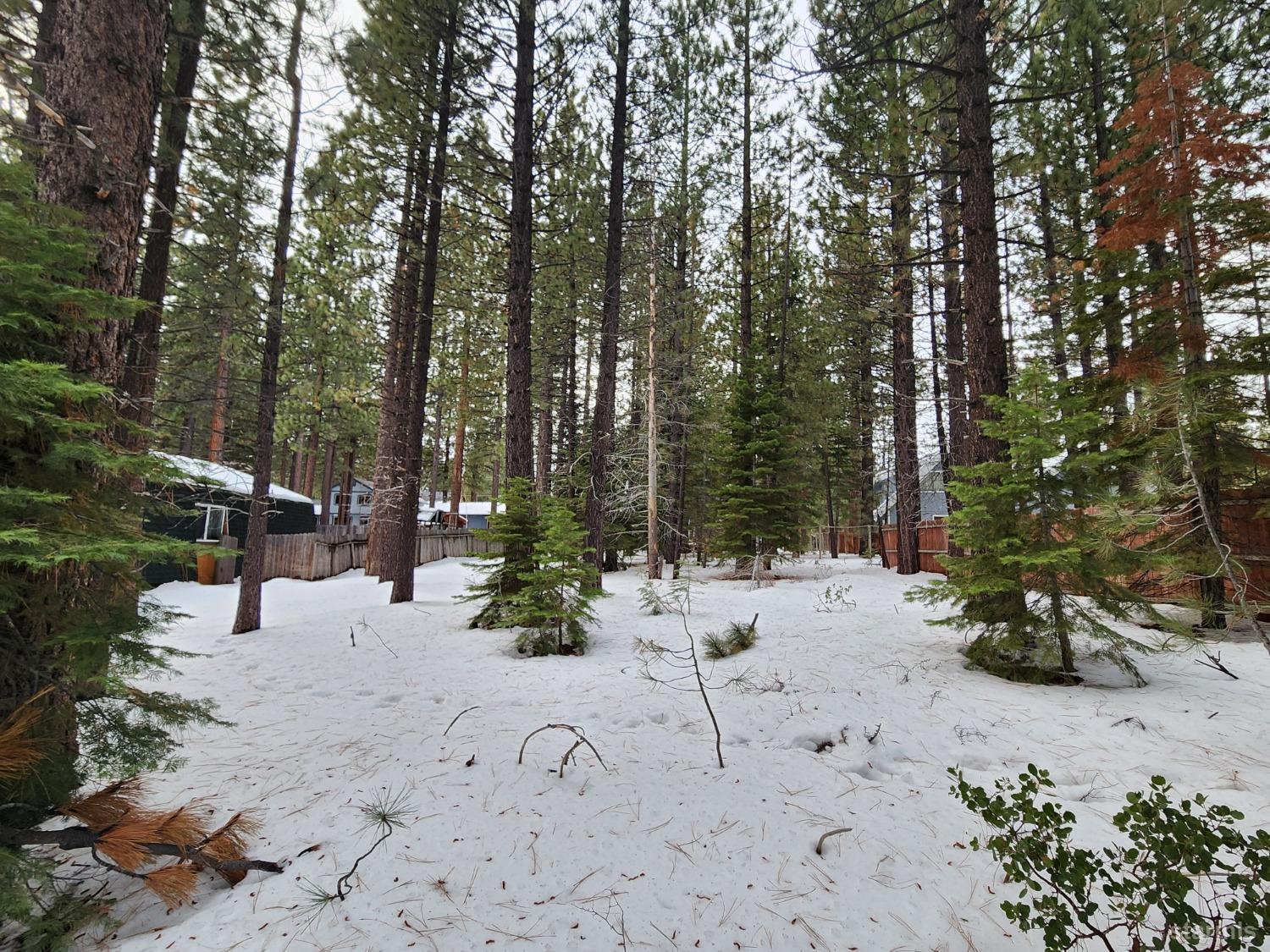 a view of a backyard of the house