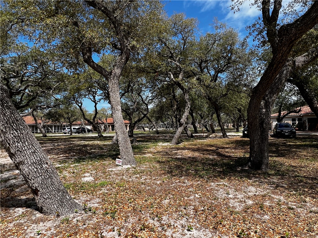 a view of a yard with plants and trees