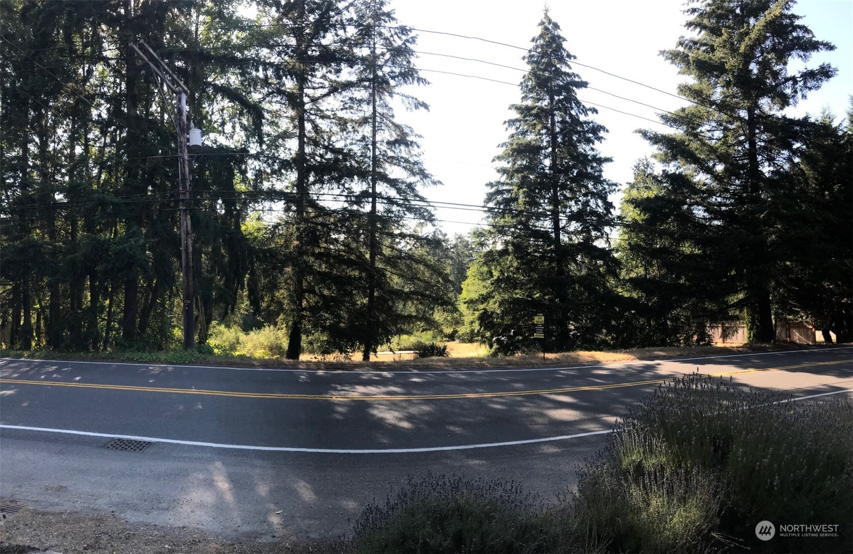 a view of road with trees