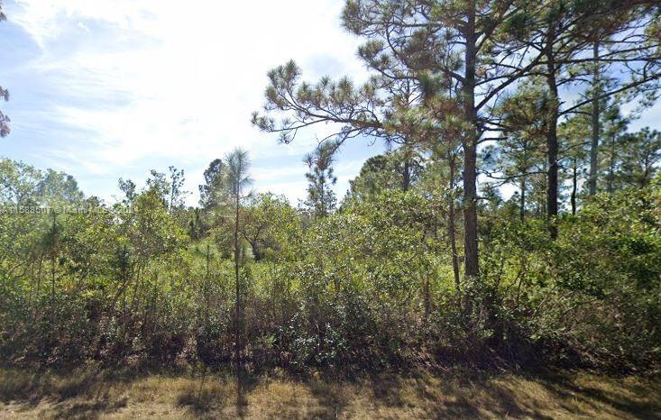 a view of a lake with lots of trees