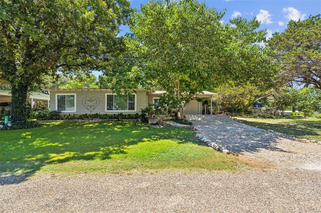 a backyard of a house with plants and large tree