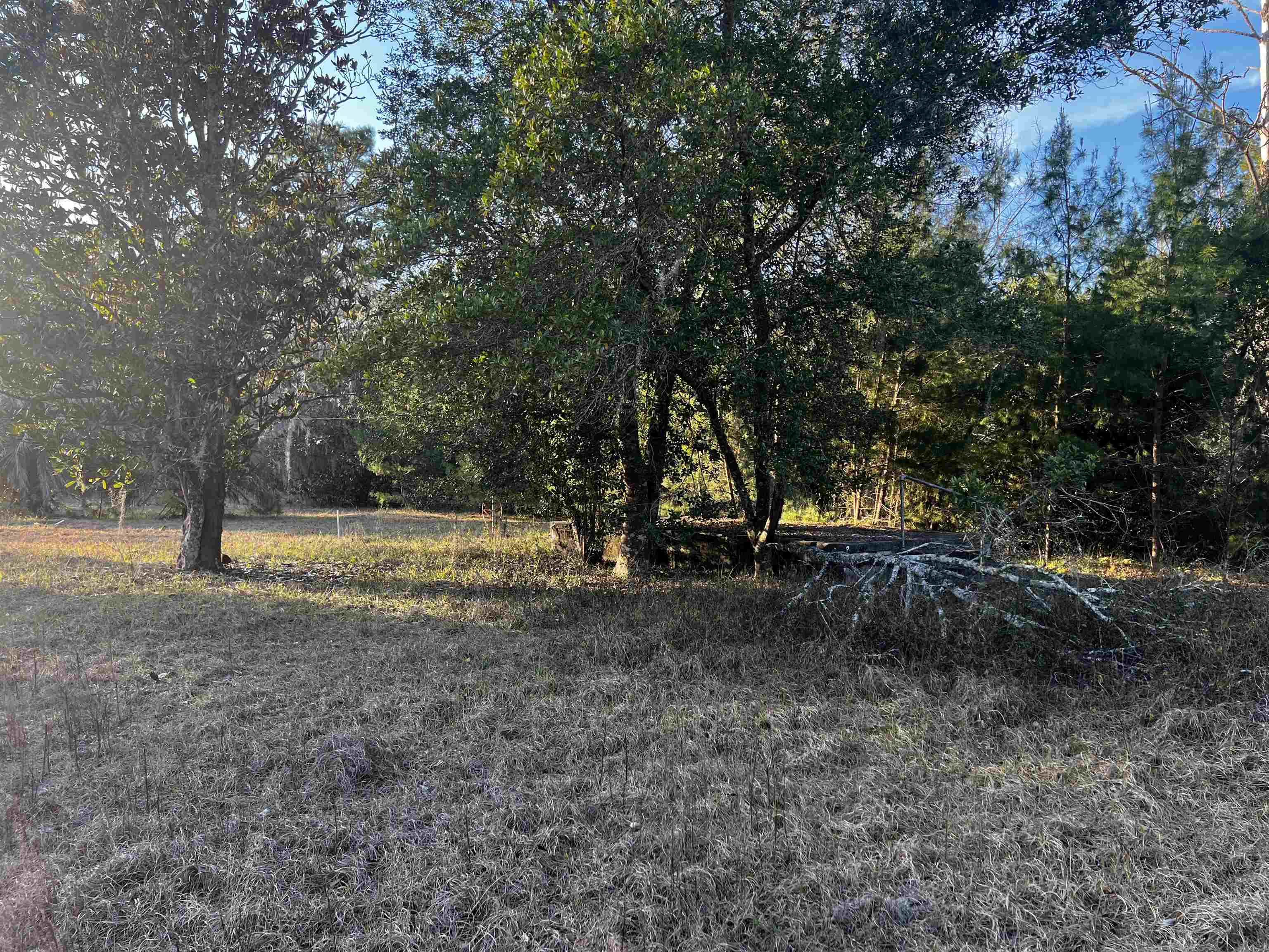 a view of backyard with green space