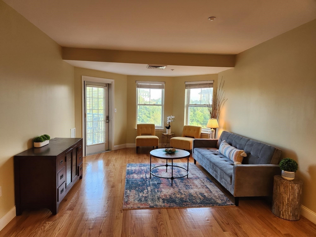 a living room with furniture and a potted plant