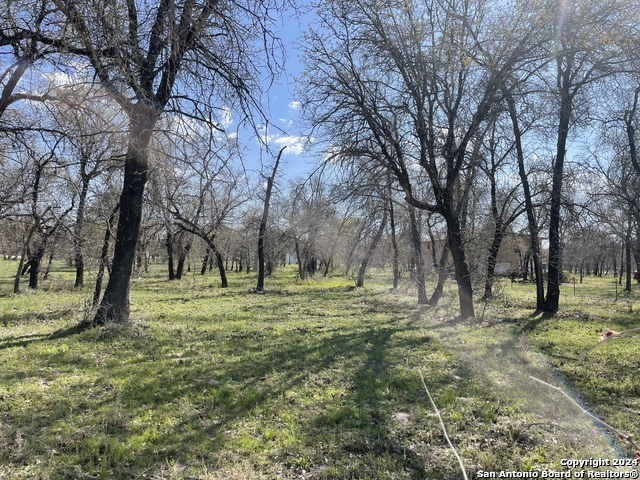 a view of outdoor space with trees