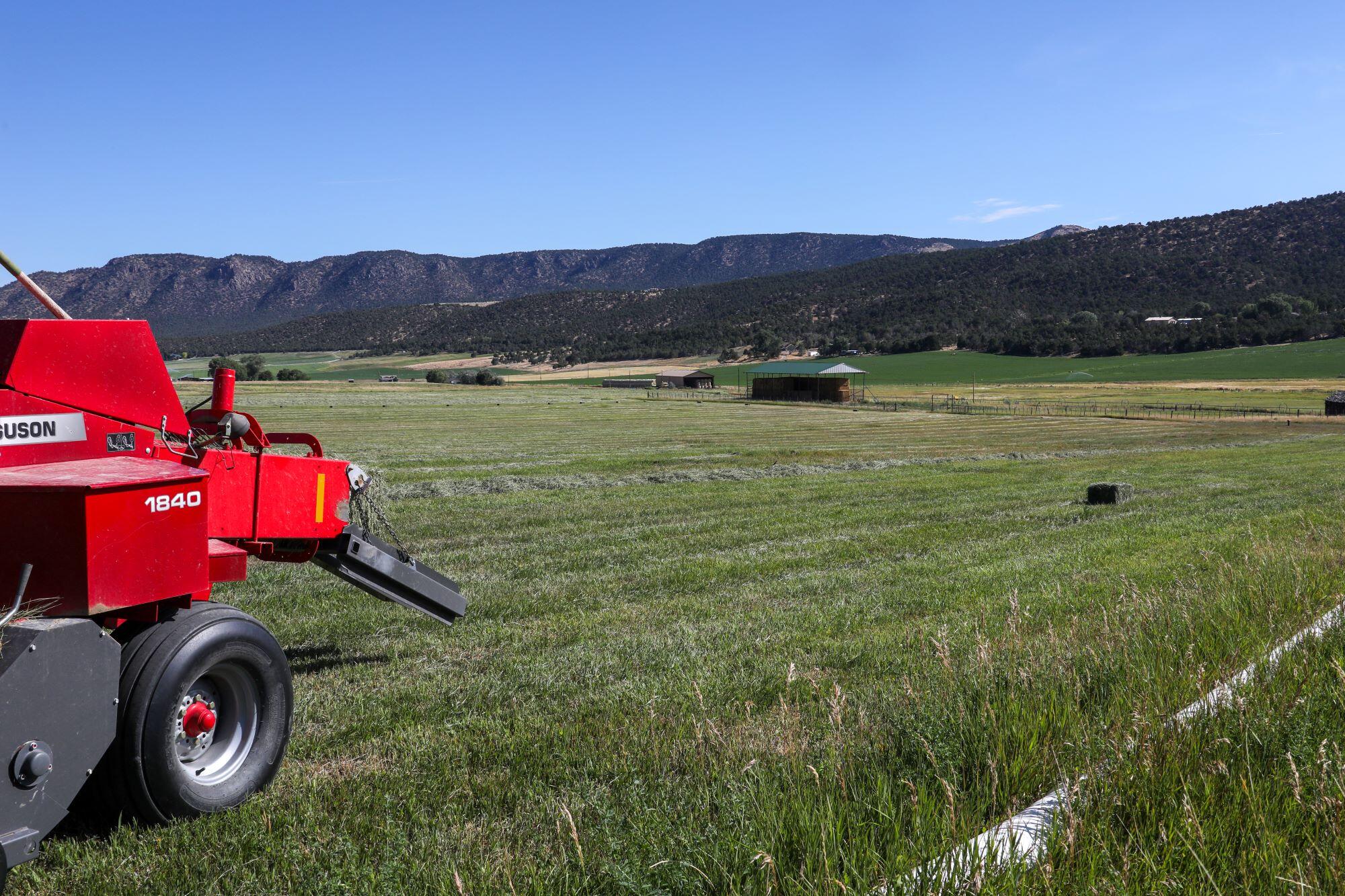 a view of a lush green field with mountains in the background