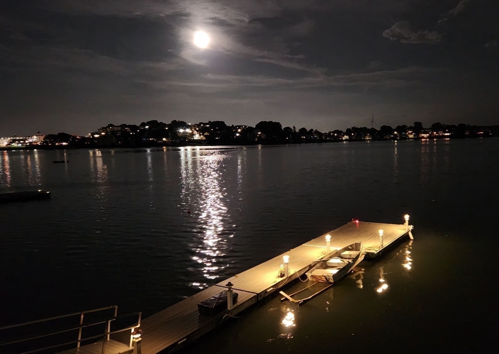 a view of a lake from a yard