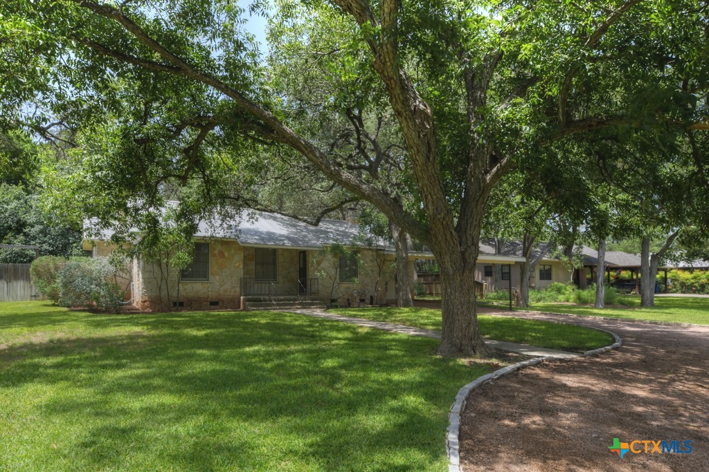 a view of a park with large trees