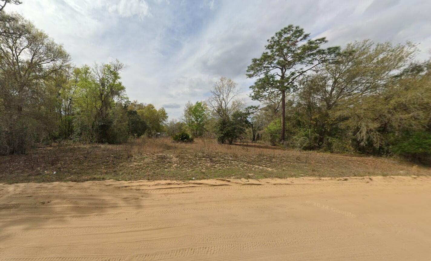 a view of a yard with a tree