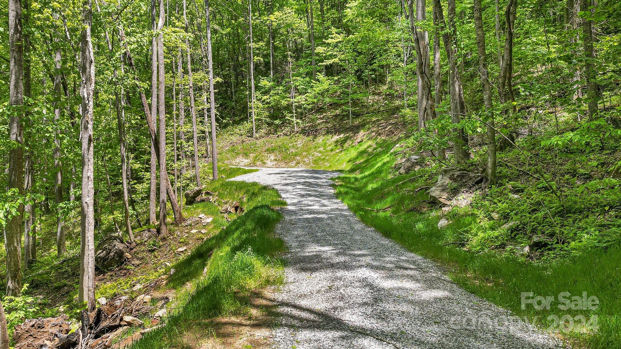 a view of a pathway both side of yard